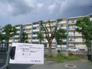 公共空間の剪定 After
