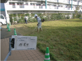 landscaping_1_2_img_4