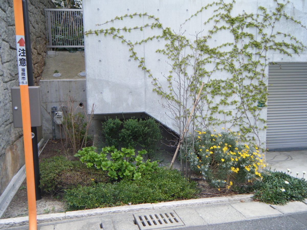 久場様邸の庭園工事 After 1