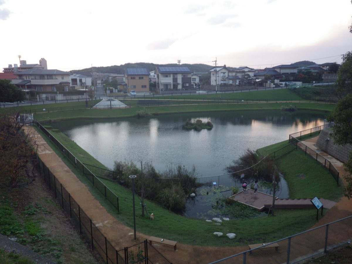 東区の山口新池の整備工事 After 2