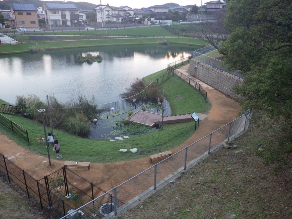東区の山口新池の整備工事 After 3