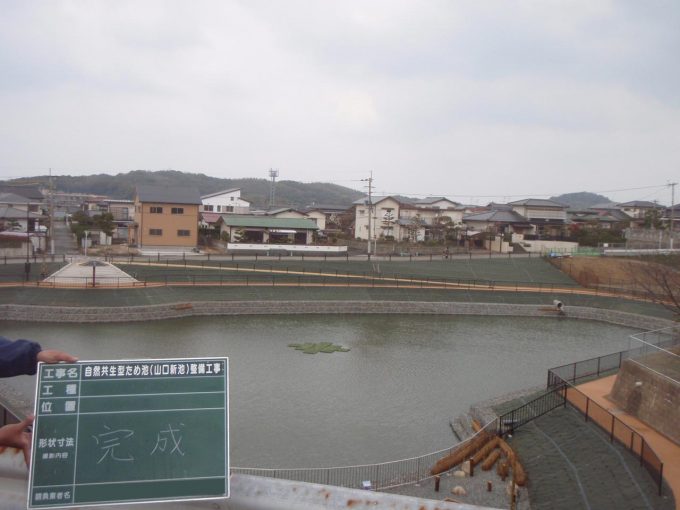 東区の山口新池の整備工事 After