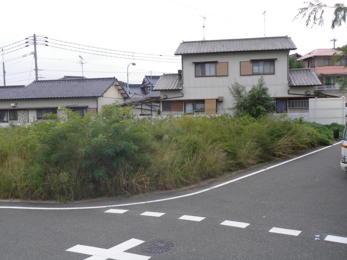 草刈り Before 1