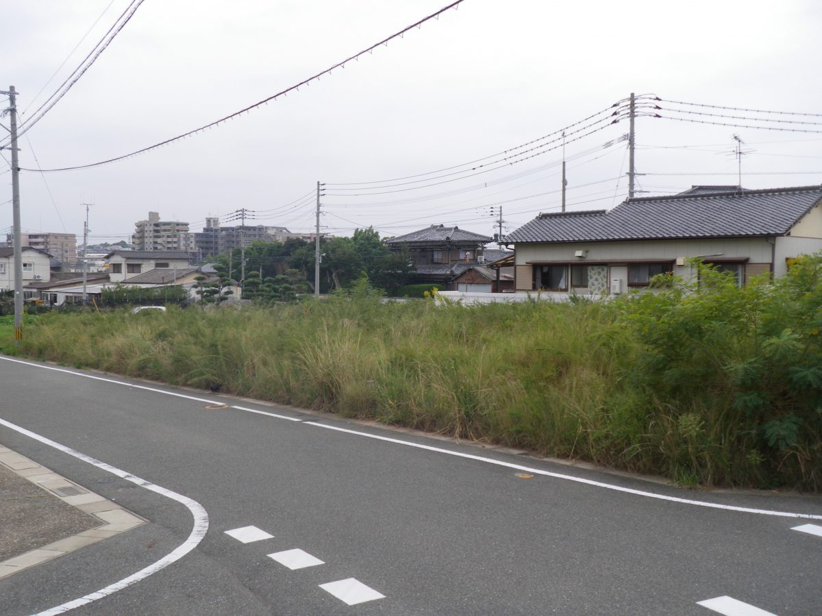 草刈り Before 2