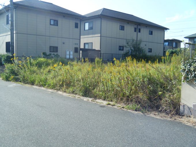 草刈り