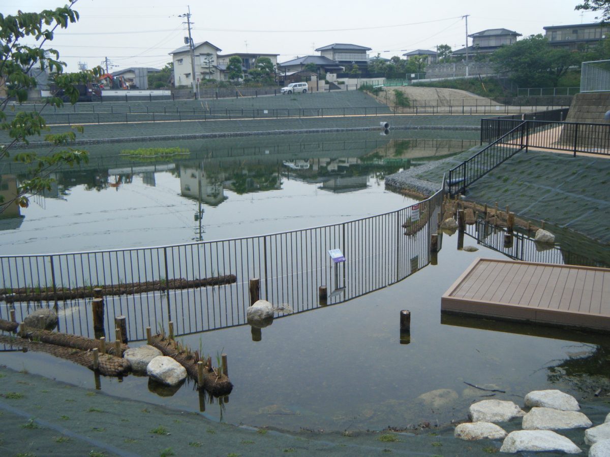 東区の山口新池の整備工事 Before 3